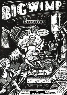 Big Wimp cover